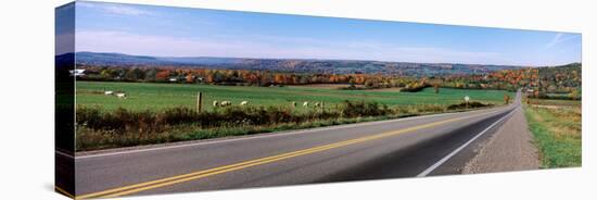 Road Passing Through a Field, Finger Lakes, New York State, USA-null-Stretched Canvas