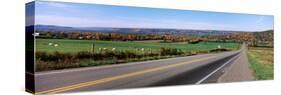 Road Passing Through a Field, Finger Lakes, New York State, USA-null-Stretched Canvas