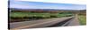 Road Passing Through a Field, Finger Lakes, New York State, USA-null-Stretched Canvas