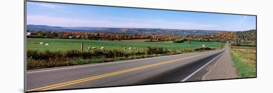 Road Passing Through a Field, Finger Lakes, New York State, USA-null-Mounted Photographic Print