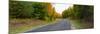 Road passing through a forest, Alger County, Upper Peninsula, Michigan, USA-null-Mounted Photographic Print