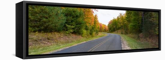 Road passing through a forest, Alger County, Upper Peninsula, Michigan, USA-null-Framed Stretched Canvas