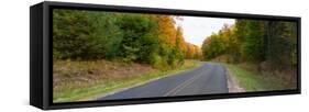 Road passing through a forest, Alger County, Upper Peninsula, Michigan, USA-null-Framed Stretched Canvas