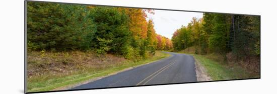 Road passing through a forest, Alger County, Upper Peninsula, Michigan, USA-null-Mounted Photographic Print