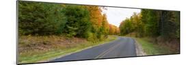 Road passing through a forest, Alger County, Upper Peninsula, Michigan, USA-null-Mounted Photographic Print