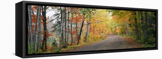 Road Passing Through a Forest, Keweenaw County, Keweenaw Peninsula, Michigan, USA-null-Framed Stretched Canvas