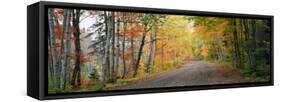 Road Passing Through a Forest, Keweenaw County, Keweenaw Peninsula, Michigan, USA-null-Framed Stretched Canvas