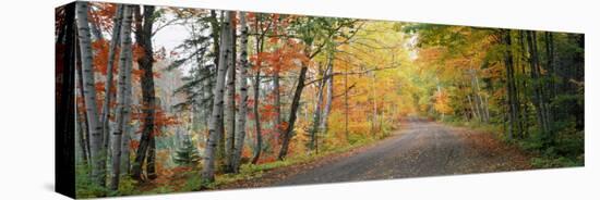 Road Passing Through a Forest, Keweenaw County, Keweenaw Peninsula, Michigan, USA-null-Stretched Canvas