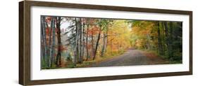 Road Passing Through a Forest, Keweenaw County, Keweenaw Peninsula, Michigan, USA-null-Framed Photographic Print