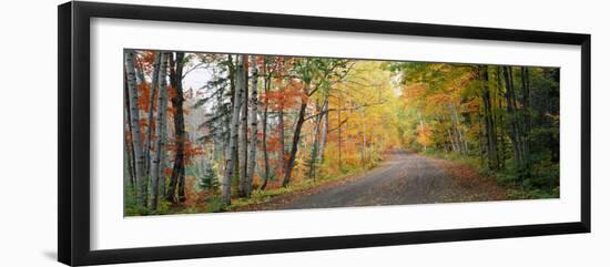Road Passing Through a Forest, Keweenaw County, Keweenaw Peninsula, Michigan, USA-null-Framed Photographic Print