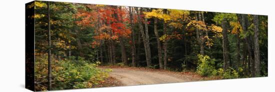Road Passing Through a Forest, Keweenaw County, Keweenaw Peninsula, Michigan, USA-null-Stretched Canvas