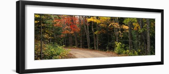 Road Passing Through a Forest, Keweenaw County, Keweenaw Peninsula, Michigan, USA-null-Framed Photographic Print