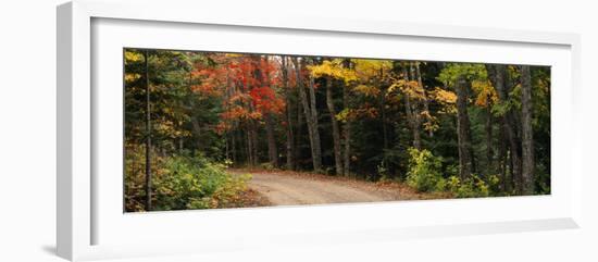 Road Passing Through a Forest, Keweenaw County, Keweenaw Peninsula, Michigan, USA-null-Framed Photographic Print