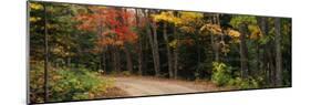 Road Passing Through a Forest, Keweenaw County, Keweenaw Peninsula, Michigan, USA-null-Mounted Photographic Print