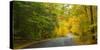 Road passing through a park, Chestnut Ridge County Park, Orchard Park, Erie County, New York Sta...-null-Stretched Canvas