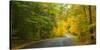 Road passing through a park, Chestnut Ridge County Park, Orchard Park, Erie County, New York Sta...-null-Stretched Canvas