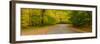 Road passing through a park, Chestnut Ridge County Park, Orchard Park, Erie County, New York Sta...-null-Framed Photographic Print