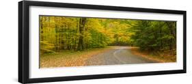 Road passing through a park, Chestnut Ridge County Park, Orchard Park, Erie County, New York Sta...-null-Framed Photographic Print