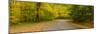 Road passing through a park, Chestnut Ridge County Park, Orchard Park, Erie County, New York Sta...-null-Mounted Photographic Print