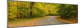Road passing through a park, Chestnut Ridge County Park, Orchard Park, Erie County, New York Sta...-null-Mounted Photographic Print