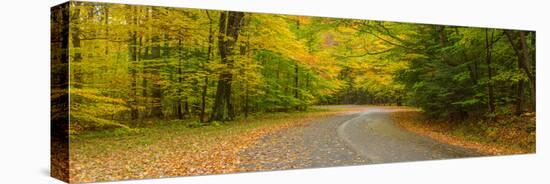 Road passing through a park, Chestnut Ridge County Park, Orchard Park, Erie County, New York Sta...-null-Stretched Canvas