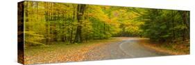 Road passing through a park, Chestnut Ridge County Park, Orchard Park, Erie County, New York Sta...-null-Stretched Canvas