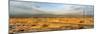 Road passing through desert, Palm Springs, Riverside County, California, USA-Panoramic Images-Mounted Photographic Print