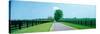 Road passing through horse farms, Woodford County, Kentucky, USA-null-Stretched Canvas