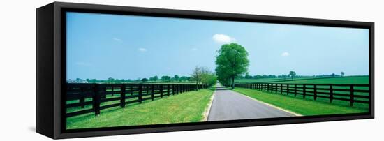 Road passing through horse farms, Woodford County, Kentucky, USA-null-Framed Stretched Canvas