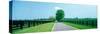 Road passing through horse farms, Woodford County, Kentucky, USA-null-Stretched Canvas