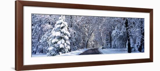 Road Passing Through Snowy Forest in Winter, Yosemite National Park, California, USA-null-Framed Photographic Print