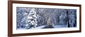 Road Passing Through Snowy Forest in Winter, Yosemite National Park, California, USA-null-Framed Photographic Print