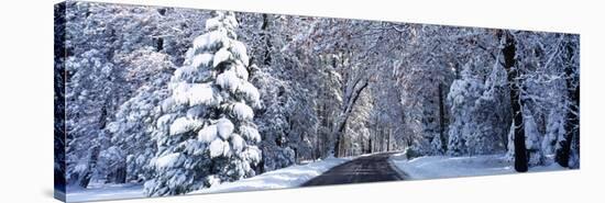 Road Passing Through Snowy Forest in Winter, Yosemite National Park, California, USA-null-Stretched Canvas