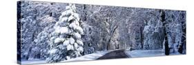 Road Passing Through Snowy Forest in Winter, Yosemite National Park, California, USA-null-Stretched Canvas