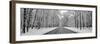 Road passing through winter forest, Wheeling, Illinois, USA-Panoramic Images-Framed Photographic Print