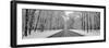 Road passing through winter forest, Wheeling, Illinois, USA-Panoramic Images-Framed Photographic Print