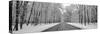 Road passing through winter forest, Wheeling, Illinois, USA-Panoramic Images-Stretched Canvas