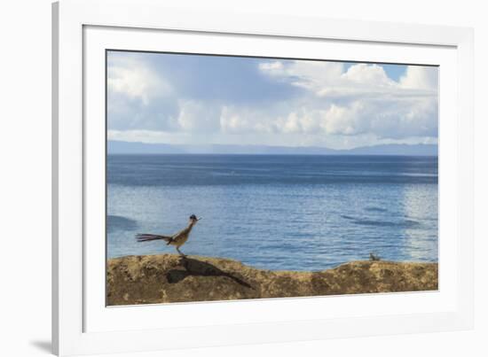 Road Runner View-Chris Moyer-Framed Photographic Print