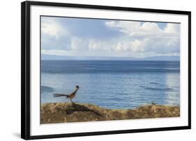 Road Runner View-Chris Moyer-Framed Photographic Print