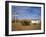 Road Runners Retreat, Route 66, Amboy, California, United States of America, North America-Richard Cummins-Framed Photographic Print