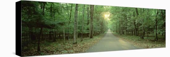 Road Running through a Forest, Door County, Wisconsin, USA-null-Stretched Canvas