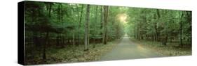 Road Running through a Forest, Door County, Wisconsin, USA-null-Stretched Canvas