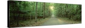 Road Running through a Forest, Door County, Wisconsin, USA-null-Stretched Canvas