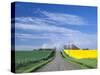 Road Running Through Canola and Wheat Fields, Grangeville, Idaho, USA-Terry Eggers-Stretched Canvas