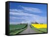 Road Running Through Canola and Wheat Fields, Grangeville, Idaho, USA-Terry Eggers-Framed Stretched Canvas