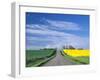 Road Running Through Canola and Wheat Fields, Grangeville, Idaho, USA-Terry Eggers-Framed Photographic Print