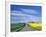 Road Running Through Canola and Wheat Fields, Grangeville, Idaho, USA-Terry Eggers-Framed Photographic Print