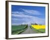 Road Running Through Canola and Wheat Fields, Grangeville, Idaho, USA-Terry Eggers-Framed Photographic Print