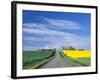 Road Running Through Canola and Wheat Fields, Grangeville, Idaho, USA-Terry Eggers-Framed Photographic Print