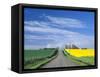 Road Running Through Canola and Wheat Fields, Grangeville, Idaho, USA-Terry Eggers-Framed Stretched Canvas